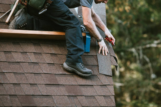 Best Roof Gutter Cleaning  in Carlstadt, NJ